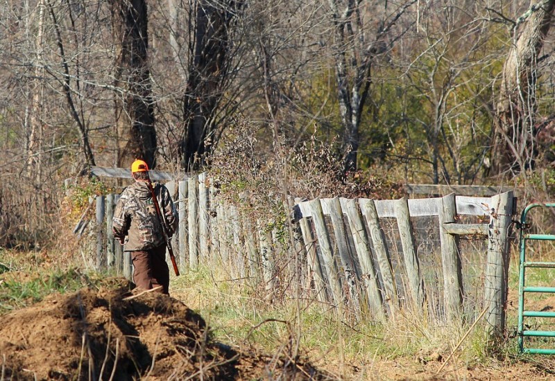 Deer Hunting Tips