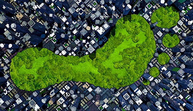 10 NO Sweat Tips To Reduce Carbon Footprint At Home