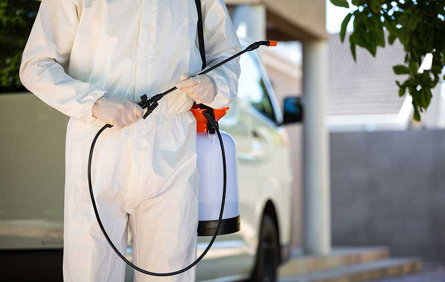 Pest Controller Service Providers’ Unmatched Services For The Society