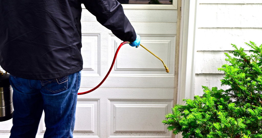 What Should You Consider When Looking For And Hiring A Pest Control Company In Brentwood?