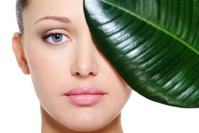 Natural Skin Care-Benefit Of Using Natural Skin Care