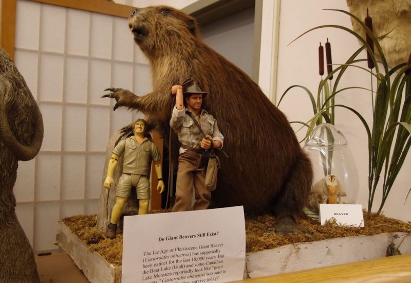 Enjoy The Weirdest Museums In Australia