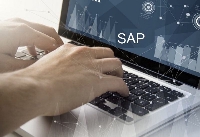 Choosing Your Best Bet As An SAP Enterprise Technology User
