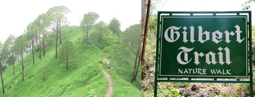 The Best Places To Visit In Kasauli