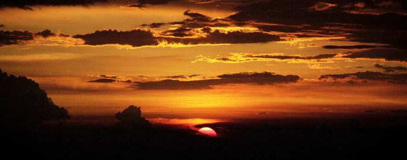 The Best Places To Visit In Kasauli