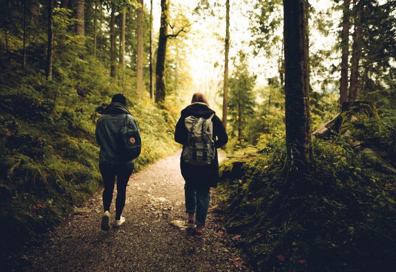 Walking Holidays To Take At Least Once In A Lifetime