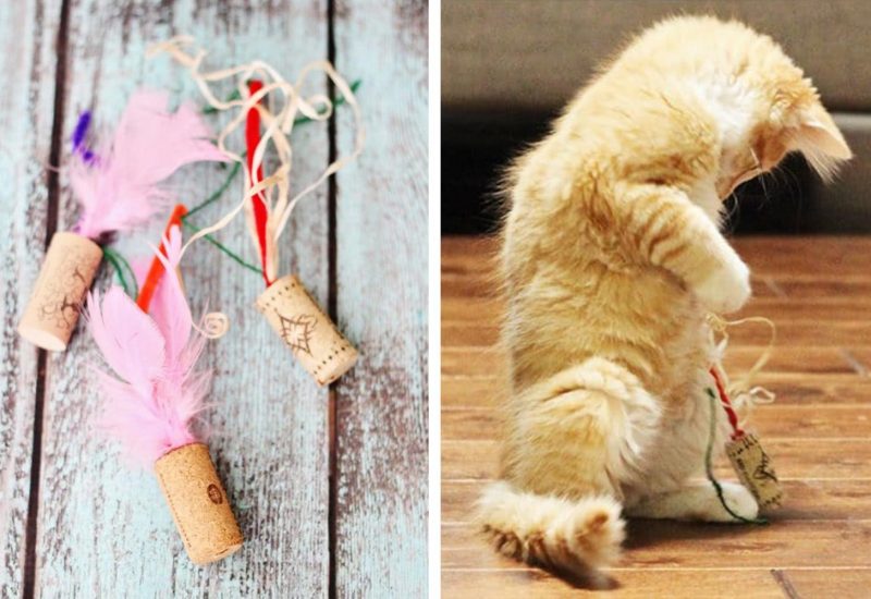 11 Gifts ideas that will Make any Kitty Lover Go Crazy with delight